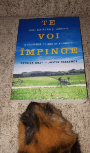impinge