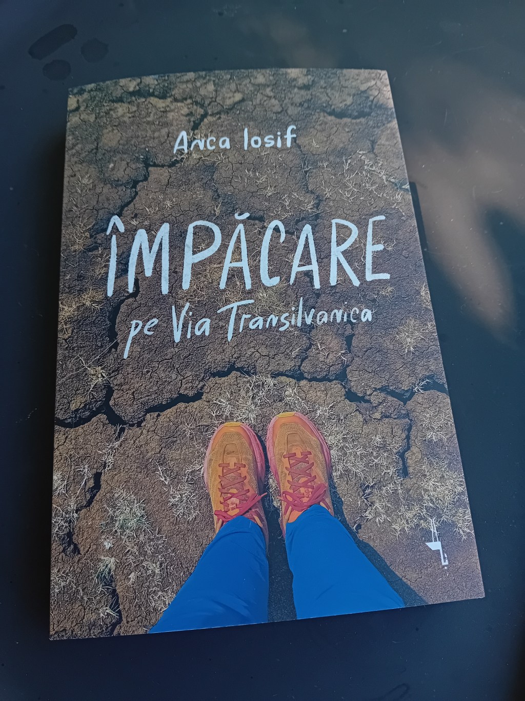 Împăcare pe Via Transilvanica – Cărți cu dor de ducă&nbsp;#52